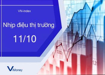 ViMoney-nhip-dieu-thi-truong-chung-khoan-11-10.jpg