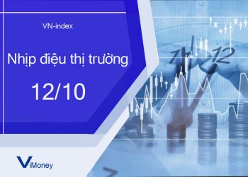 ViMoney-nhip-dieu-thi-truong-chung-khoan-12-10.jpg