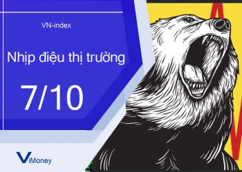 ViMoney-nhip-dieu-thi-truong-chung-khoan-7-10.jpg