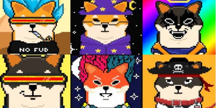 Shiba Inu lấn sân sang NFT gây sốc với 10.000 tác phẩm