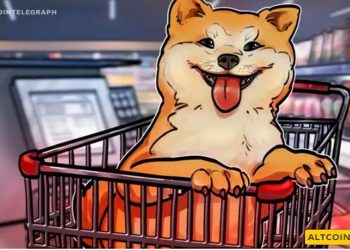 Shiba Inu đột phá 90%, tăng mạnh hơn 1,250%