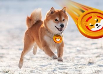 “Coin chó” SHIB lập đỉnh mới nhờ được “cá voi” ETH hậu thuẫn