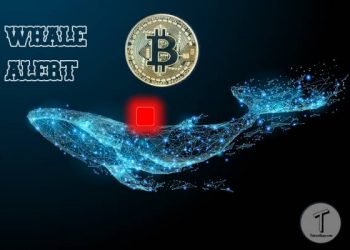 Cá voi(Whale alert) di chuyển 761 triệu đô la trong Ethereum, trong khi tiền xu phục hồi đến 3.500 đô la
