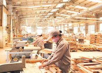 Xuất khẩu gỗ gặp khó nhiều doanh nghiệp chịu ảnh hưởng