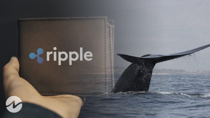 82 triệu XRP được chuyển bởi Ripple và Cá voi ẩn danh