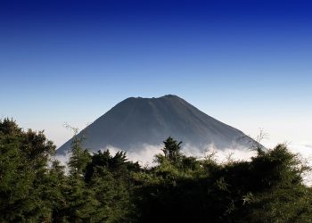 Vitalik Buterin khi chỉ trích Luật Bitcoin của El Salvador và Tổng thống Nayib Bukele