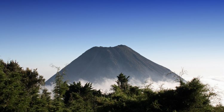 Vitalik Buterin khi chỉ trích Luật Bitcoin của El Salvador và Tổng thống Nayib Bukele