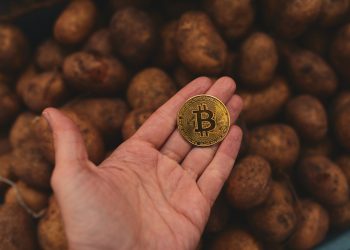 Chỉ báo số ngày đồng coin bị phá hủy CDD có thể dự đoán đỉnh Bitcoin không?