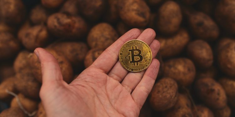 Chỉ báo số ngày đồng coin bị phá hủy CDD có thể dự đoán đỉnh Bitcoin không?