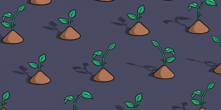 Vốn tài trợ hạt giống đã bùng nổ như thế nào trong 10 năm qua