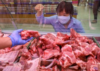 Giá thịt lợn chênh bất hợp lý, Phó Thủ tướng chỉ đạo làm rõ