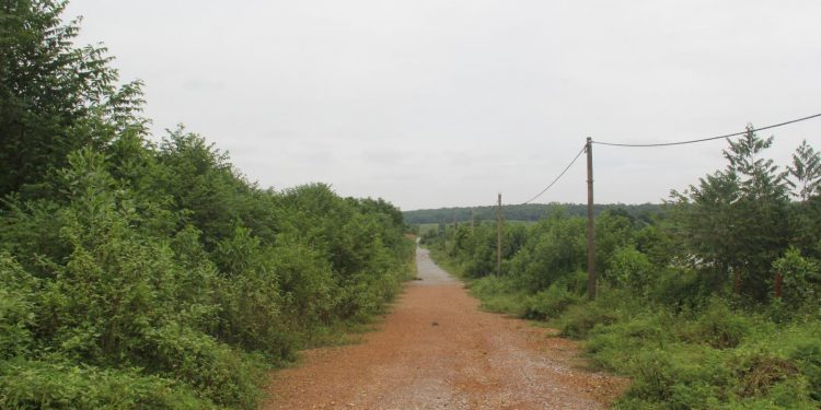 Hà Nội: "Sóng đất" Ba Vì âm thầm nổi trở lại sau 1 thập kỷ