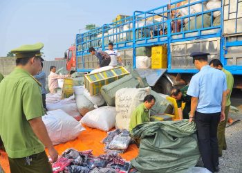 Xây dựng kế hoạch chống buôn lậu, gian lận thương mại dịp Tết