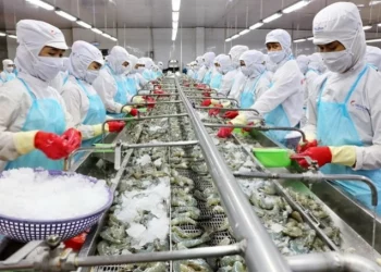 Chi gần 500 tỷ đồng, C.P Việt Nam trở thành cổ đông lớn của Thực phẩm Sao Ta