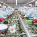 Chi gần 500 tỷ đồng, C.P Việt Nam trở thành cổ đông lớn của Thực phẩm Sao Ta