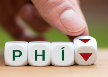 Phí sử dụng dịch vụ trên Hệ thống mạng đấu thầu quốc gia