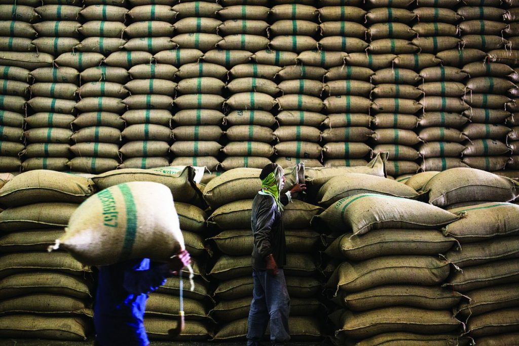 Ấn Độ: Giá gạo tiếp tục lập kỷ lục, cao nhất trong gần 3 tháng