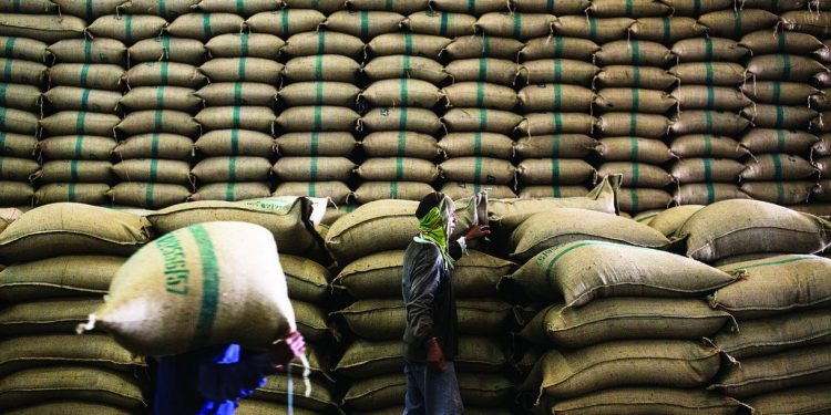 Ấn Độ: Giá gạo tiếp tục lập kỷ lục, cao nhất trong gần 3 tháng