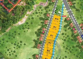 Khởi tố Chủ tịch Hội đồng quản trị Công ty bất động sản Khải Tín