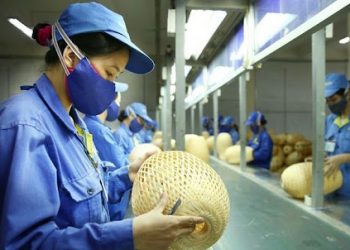 Hỗ trợ phục hồi và phát triển kinh tế