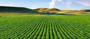 6 từ khóa phát triển nông nghiệp bền vững
