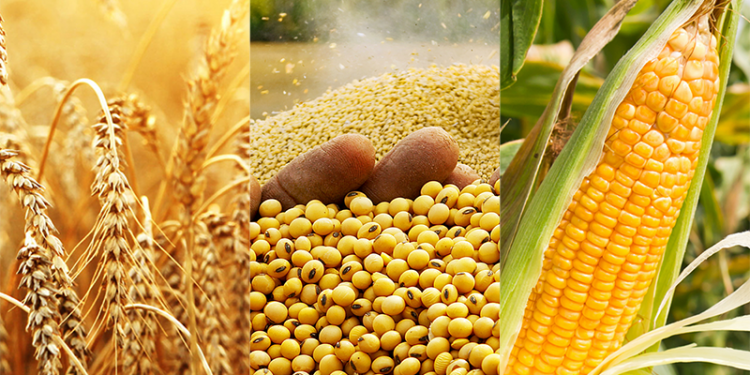 Tổng hợp thị trường nông sản trong nước và Thế giới tuần từ ngày 27/9 đến ngày 1/10