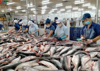 Kim ngạch xuất khẩu nông, lâm, thủy sản 9 tháng năm 2021