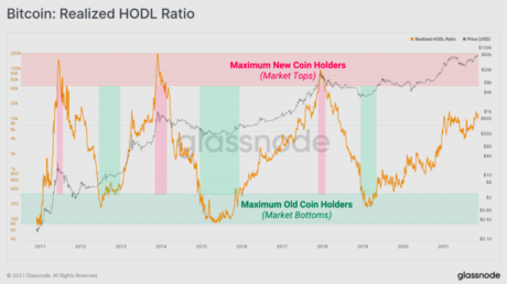 ViMoney - 5 công cụ dự đoán giá Bitcoin hàng đầu -  RHODL Ratio