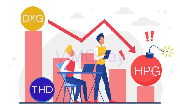 Diem-tin-doanh-nghiep-19-11-DXG-THD-HPG-Dragon-Capital