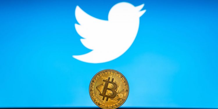 Giám đốc tài chính của Twitter cho rằng tiền điện tử quá biến động để đầu tư vào lúc này