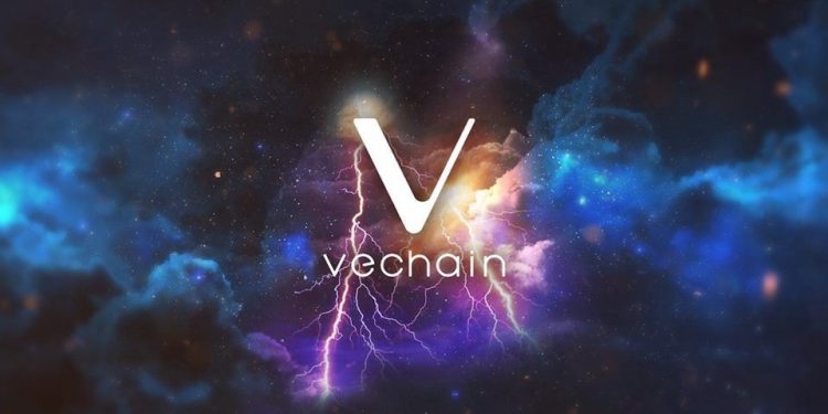 Altcoin tăng, ngay cả khi giá 2 ông lớn Bitcoin và Ethereum giảm xuống mức hỗ trợ chính