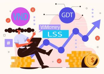 ViMonet-diem-tin-doanh-nghiep-8-11-LSS-VND-GDT