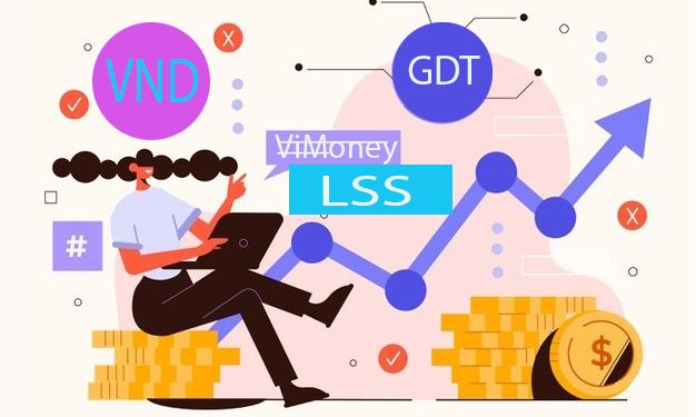 ViMonet-diem-tin-doanh-nghiep-8-11-LSS-VND-GDT