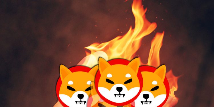 $2.3 tỷ SHIB chuyển từ ví cá voi khiến Shiba Inu đột ngột giảm giá