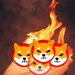 $2.3 tỷ SHIB chuyển từ ví cá voi khiến Shiba Inu đột ngột giảm giá
