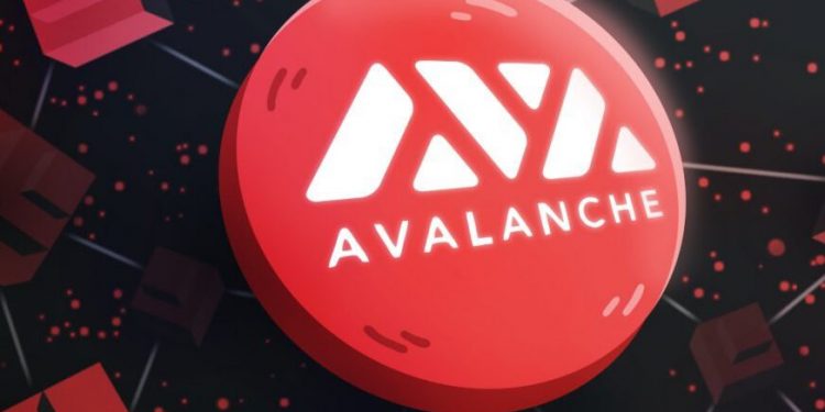ViMoney - Tìm kiếm Avalanche bùng nổ sau khi giá AVAX tăng 2,700% so với đầu năm