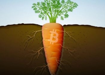 ViMoney-Bitcoin Taproot bản nâng cấp đầu tiên của Bitcoin kể từ 2017