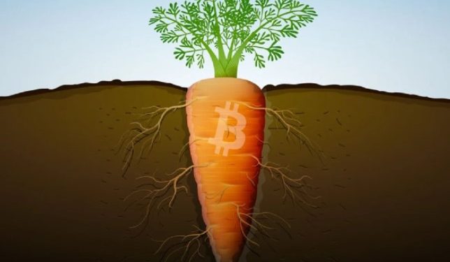 ViMoney-Bitcoin Taproot bản nâng cấp đầu tiên của Bitcoin kể từ 2017