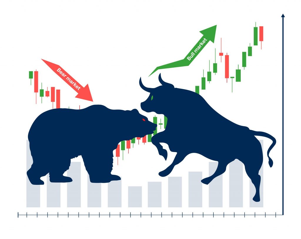 ViMoney - Bò và Gấu là gì ? Bull Market và Bear Market - Cùng tìm hiểu thị trường bò và thị trường gấu