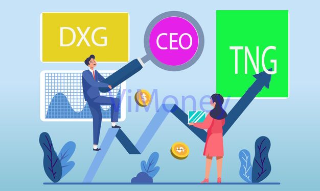 ViMoney-Diem-tin-doanh-nghiep-16-11-CEO-TNG-DXG