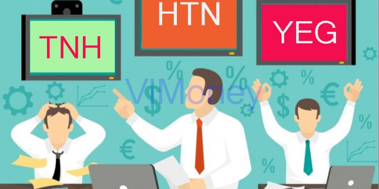 ViMoney-Diem-tin-doanh-nghiep-3-11-TNH-HTN-YEG.jpg