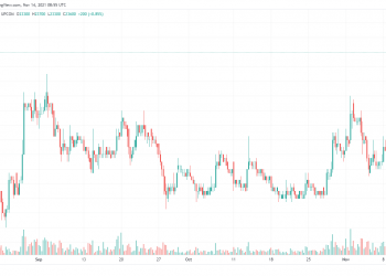 HHV: Giá cổ phiếu tăng cao, Tập đoàn Hải Thạch đăng ký thoái toàn bộ vốn từ 15-17/11