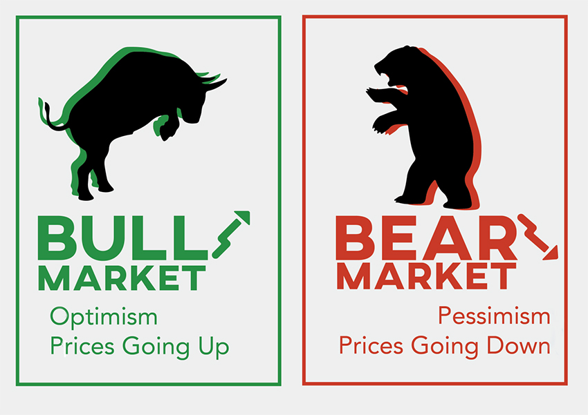 ViMoney - Bò và Gấu là gì? Cùng tìm hiểu khái niệm thị trường bò và thị trường gấu - Bull Market và Bear Market