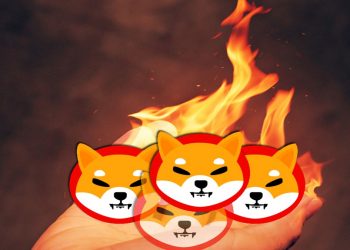 Cá voi Shiba Inu “tỉnh giấc” cảnh báo nguy hiểm tới các nhà đầu tư