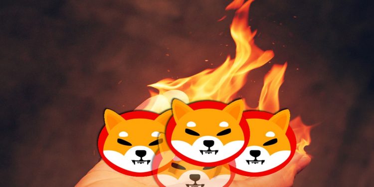 Cá voi Shiba Inu “tỉnh giấc” cảnh báo nguy hiểm tới các nhà đầu tư