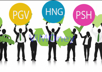 ViMoney-diem-tin-doanh-nghiep-10-11-PGV-HNG-PSH