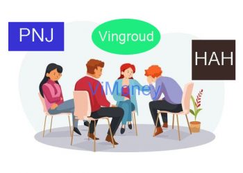 ViMoney-diem-tin-doanh-nghiep-11-11-Vingroud-PNJ-HAH