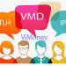 ViMoney-diem-tin-doanh-nghiep-16-11-VMD-IPA-TLH
