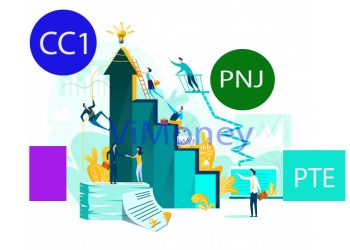 ViMoney-diem-tin-doanh-nghiep-22-11-PNJ-PTE-CC1