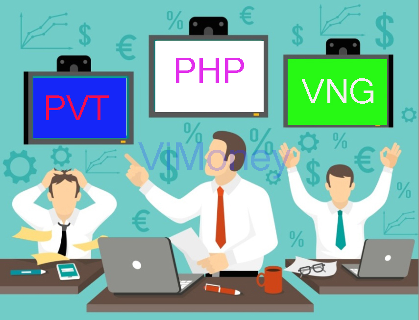 ViMoney-diem-tin-doanh-nghiep-3-11-PVT-PHP-VNG